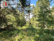 Jeleńcz–działka budowlana  13 375 m2