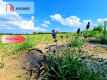 Tylko u Nas! Lawendowa Dolina! Działki na sprzedaż