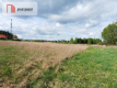 Dąbrowa Chełmińska działka 3072 m2