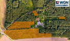 Dąbrowa - Kopanka, grunt inwestycyjny, 33 031 m2, sprzedam, 2 000 000 zł, netto.  
  
Na sprzedaż działki o łącznej powierzchni