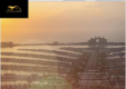 Apartamenty na Palm Jumeirah