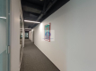 Śródmieście: lokal biurowy 219,19 m2 do wynajęcia