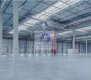 Halinów: magazyn 1620 m2
