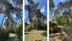 Posiadłość 2500m2 | Zadbany Dom z Lasem
