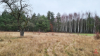 Działka 1900 m2. Pieńki