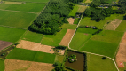 Działka rolno-budowlana 2,5 ha. Nowosiółki