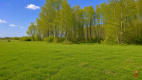 Działka rolno-budowlana 2,5 ha. Nowosiółki