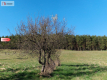 Siedlisko w Odrach z działką 12800 m2