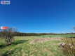 Siedlisko w Odrach z działką 12800 m2