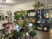 Gotowy lokal na sprzedaż