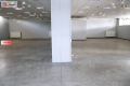 Lokal uslugowo-handlowy 500 m2, I piętro, winda
