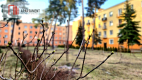 Mieszkanie z balkonem przy parku na Osiedlu Leśnym