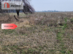 Działka budowlana blisko dużego lasu