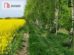 Działki z linią brzegową jeziora