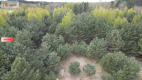 Bory Tucholskie – działka 1195 mkw pod budowę domu