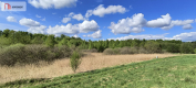 Działka 8000 m² na Kaszubach - Niedamowo