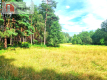 Działka z linią brzegową w Borach Tucholskich