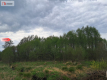 Działka 1,33 ha Nad rzeką WIERZYCA-LIPY-STRUGA!