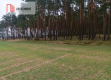 Piękna spokojna okolica ze ścianą lasu!!!