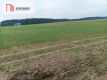 Piękna spokojna okolica ze ścianą lasu!!!
