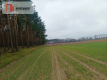 Piękna spokojna okolica ze ścianą lasu!!!