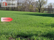 Działki budowlane niedaleko jeziora