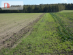 Działki z warunkami zabudowy blisko jezior i lasów