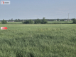 * Działka w Żninie 115 zł./mkw.