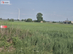 * Działka w Żninie 115 zł./mkw.