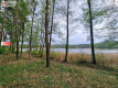 Działki z linią brzegową jeziora pod Toruniem
