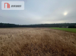 Działki z warunkami zabudowy 1075m2