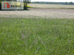 Działki budowlane z warunkami zabudowy