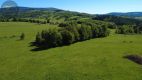Działka 4090 m² z warunkami zabudowy – Boreczna