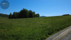 Działka 4090 m² z warunkami zabudowy – Boreczna