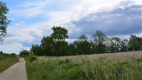 Działka budowlano-rolna o pow.: 1519 m2