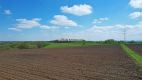 Działka Budowlana Młodziejowice w gm. Michałowice