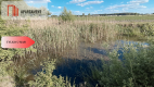 Siedlisko z działką i stawem, Trzaskowice-Stróżewo