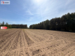 Tylko u nas!4500 m² ciszy i zieleni–Bory Tuchols
