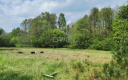 Dąbrowa, gmina Polkowice, działka budowlana, 13200 m2, sprzedaż, 594 000 zł.  
  
Na sprzedaż grunt budowlany dz. 186/4 w miejs