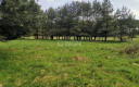 Dąbrowa, gmina Polkowice, działka budowlana, 13200 m2, sprzedaż, 594 000 zł.  
  
Na sprzedaż grunt budowlany dz. 186/4 w miejs