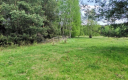 Dąbrowa, gmina Polkowice, działka budowlana, 1000 m2, sprzedaż, 45000 zł.  
  
Na sprzedaż grunt budowlany dz. 186/4 w miejscow