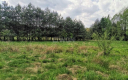 Dąbrowa, gmina Polkowice, działka budowlana, 1000 m2, sprzedaż, 45000 zł.  
  
Na sprzedaż grunt budowlany dz. 186/4 w miejscow