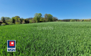 Sobolice, gmina Bytom Odrzański, działka, sprzedam, 3000 m2, 130 000 zł.  
 
Na sprzedaż działka położona w miejscowości Soboli