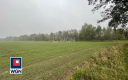 Sieraków, gmina Szprotawa, działka rolna, 23800 m2, sprzedaż, 139 000 zł.  
  
Na sprzedaż grunt rolny klasy III w miejscowości