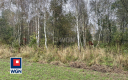 Sieraków, gmina Szprotawa, działka rolna, 23800 m2, sprzedaż, 139 000 zł.  
  
Na sprzedaż grunt rolny klasy III w miejscowości