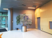 Wola: lokal biurowy 216 m2 do wynajęcia
