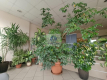 Praga Północ: lokal biurowy 51,43 m2 do wynajęcia