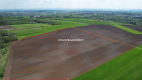 Działka Budowlana Młodziejowice w gm. Michałowice