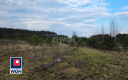 Zapraszam do zapoznania się z ofertą sprzedaży gruntu o powierzchni 14996 m2, położonej w Kłopotowie, gm. Lubin.  
  
Działka w