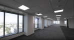 Wola: lokal biurowy 1240 m2 do wynajęcia